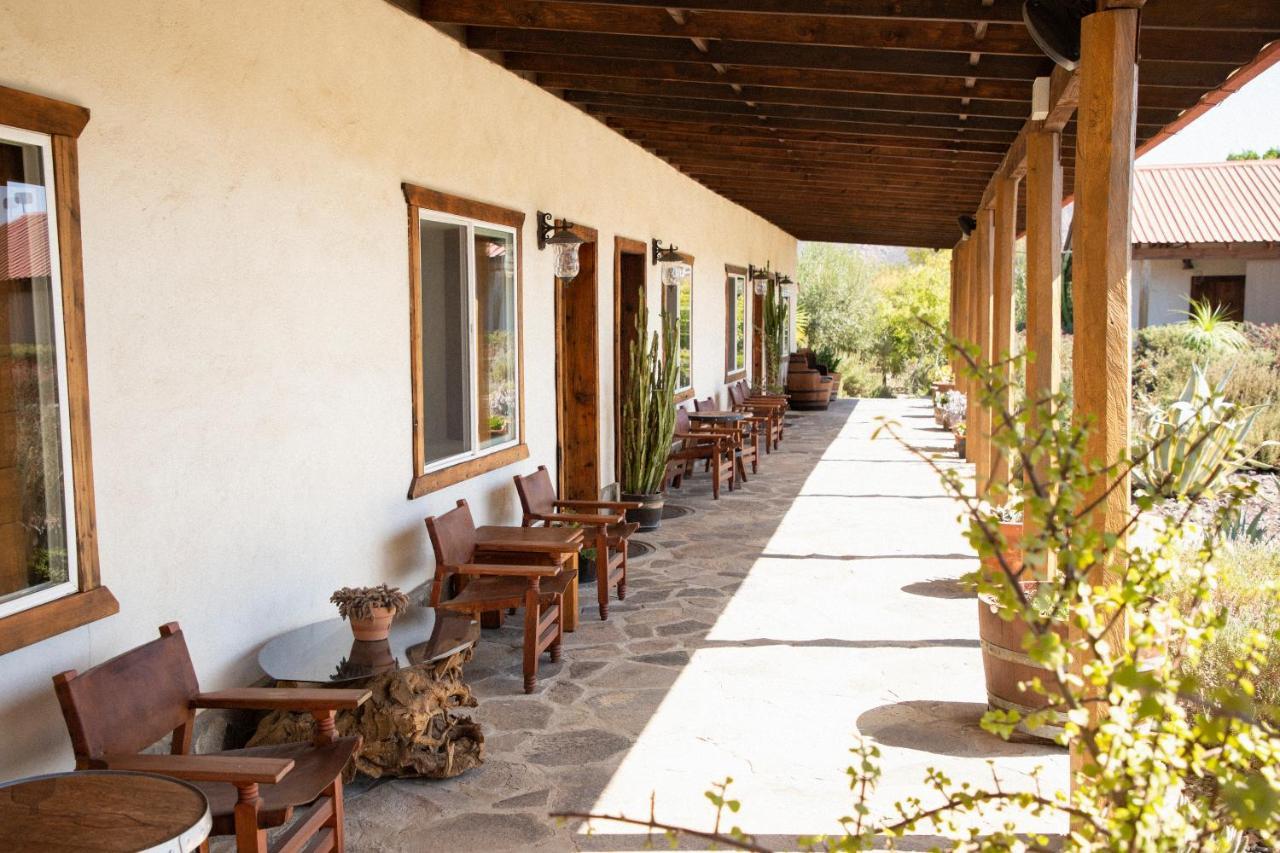 Terra Del Valle Bed & Breakfast Вальє-де-Гуадалупе Екстер'єр фото